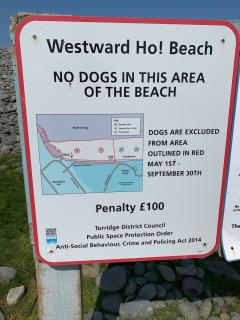 Since we'd followed the beach all the way round the point, we didn't know about the dog ban area ...